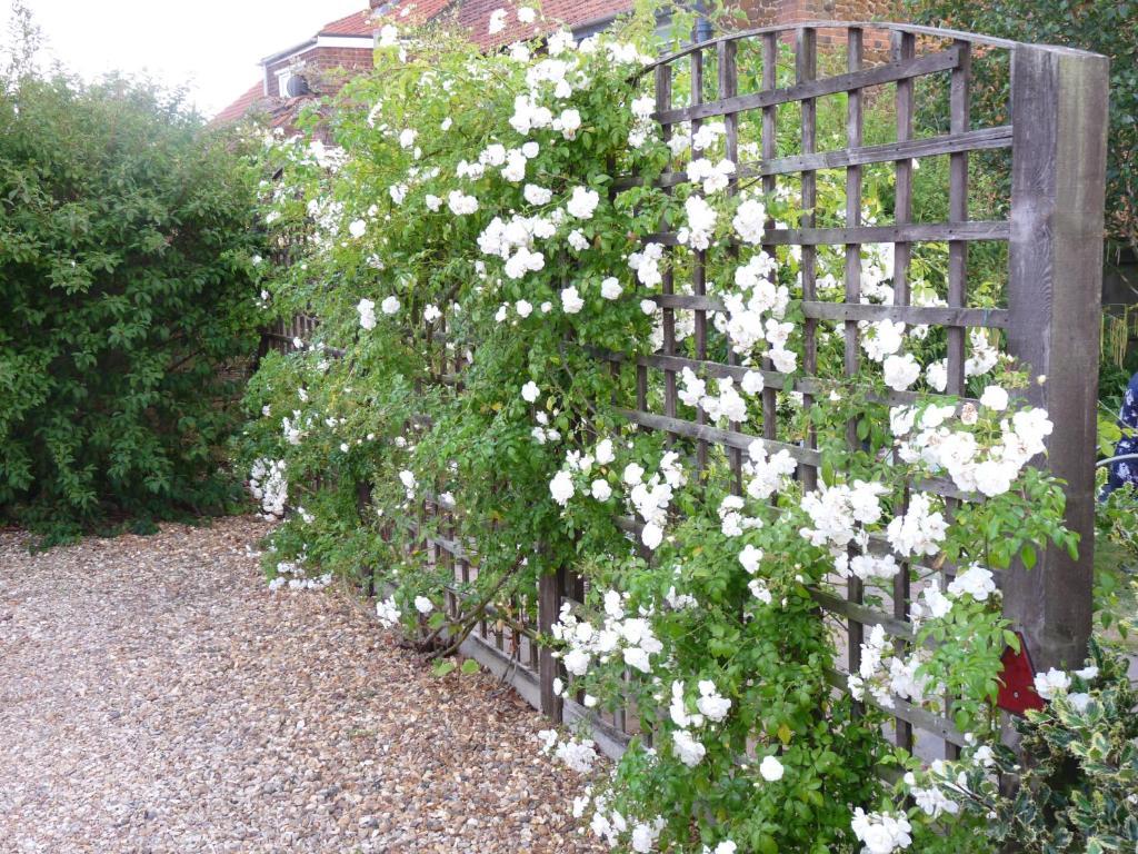 Ashdene House Bed and Breakfast Dersingham Εξωτερικό φωτογραφία